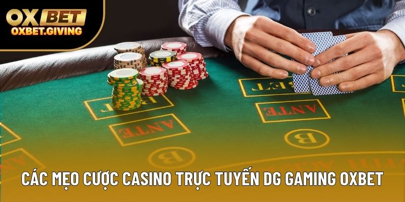 Các mẹo cược casino trực tuyến DG Gaming OXBET Các mẹo cược casino trực tuyến DG Gaming OXBET
