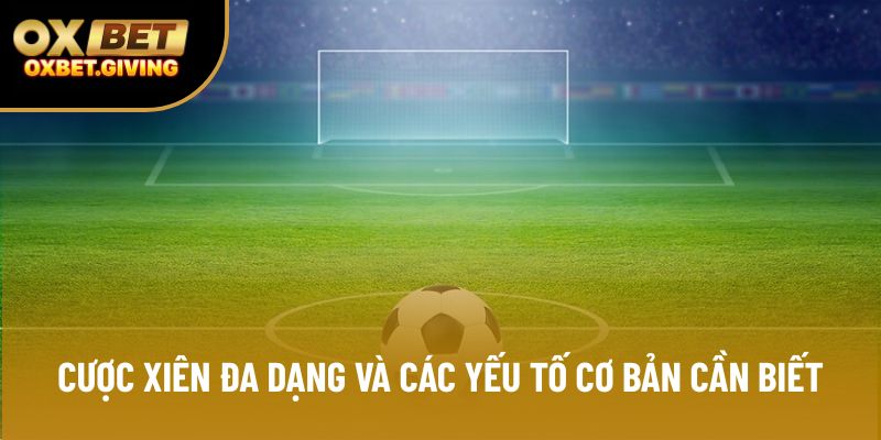 Cược xiên đa dạng và các yếu tố cơ bản cần biết Cược xiên đa dạng và các yếu tố cơ bản cần biết