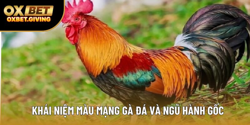 Khái niệm màu mạng gà đá và ngũ hành gốc Khái niệm màu mạng gà đá và ngũ hành gốc