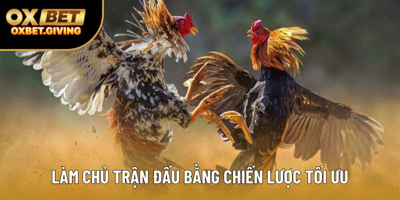 Làm chủ trận đấu bằng chiến lược tối ưu Làm chủ trận đấu bằng chiến lược tối ưu